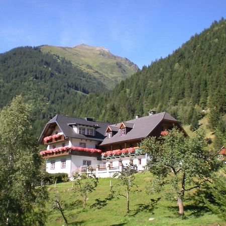 Biobauernhof Spieszschweiger Villa Sankt Nikolai im Solktal Exterior photo