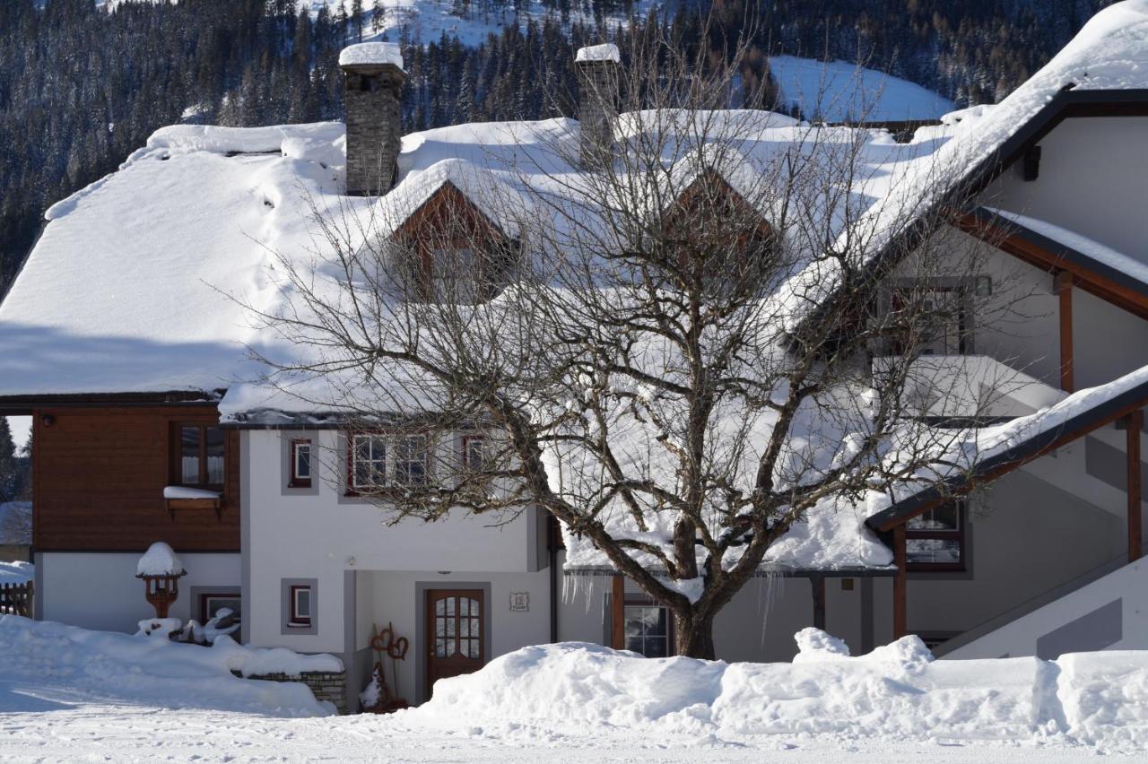 Biobauernhof Spieszschweiger Villa Sankt Nikolai im Solktal Exterior photo