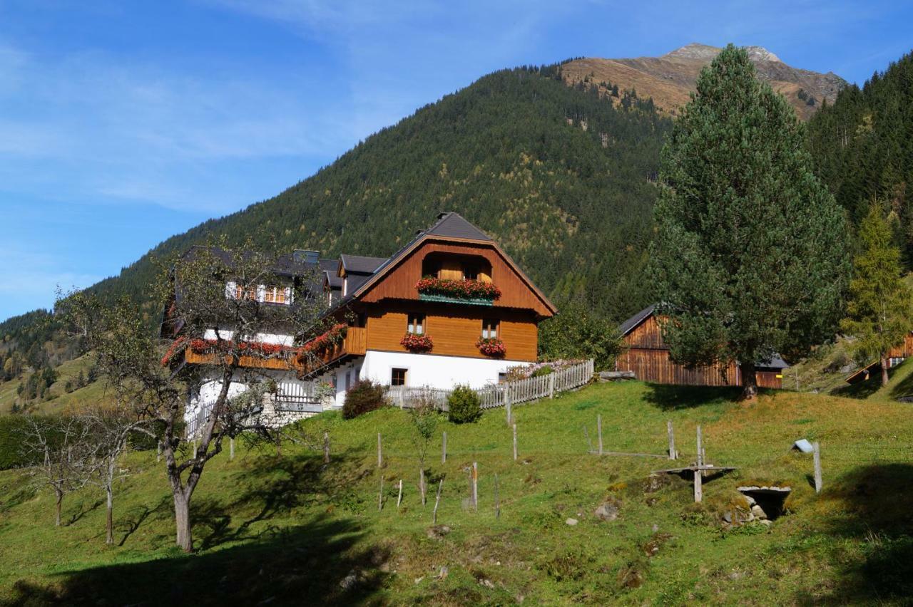 Biobauernhof Spieszschweiger Villa Sankt Nikolai im Solktal Exterior photo