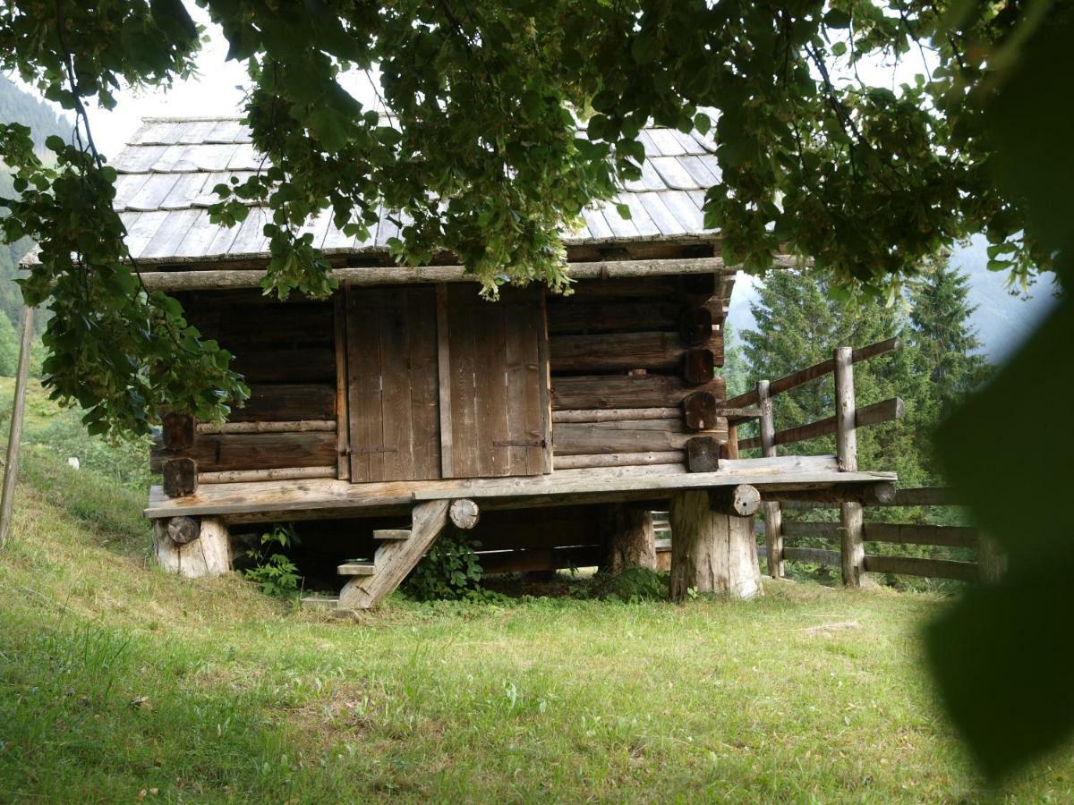 Biobauernhof Spieszschweiger Villa Sankt Nikolai im Solktal Exterior photo