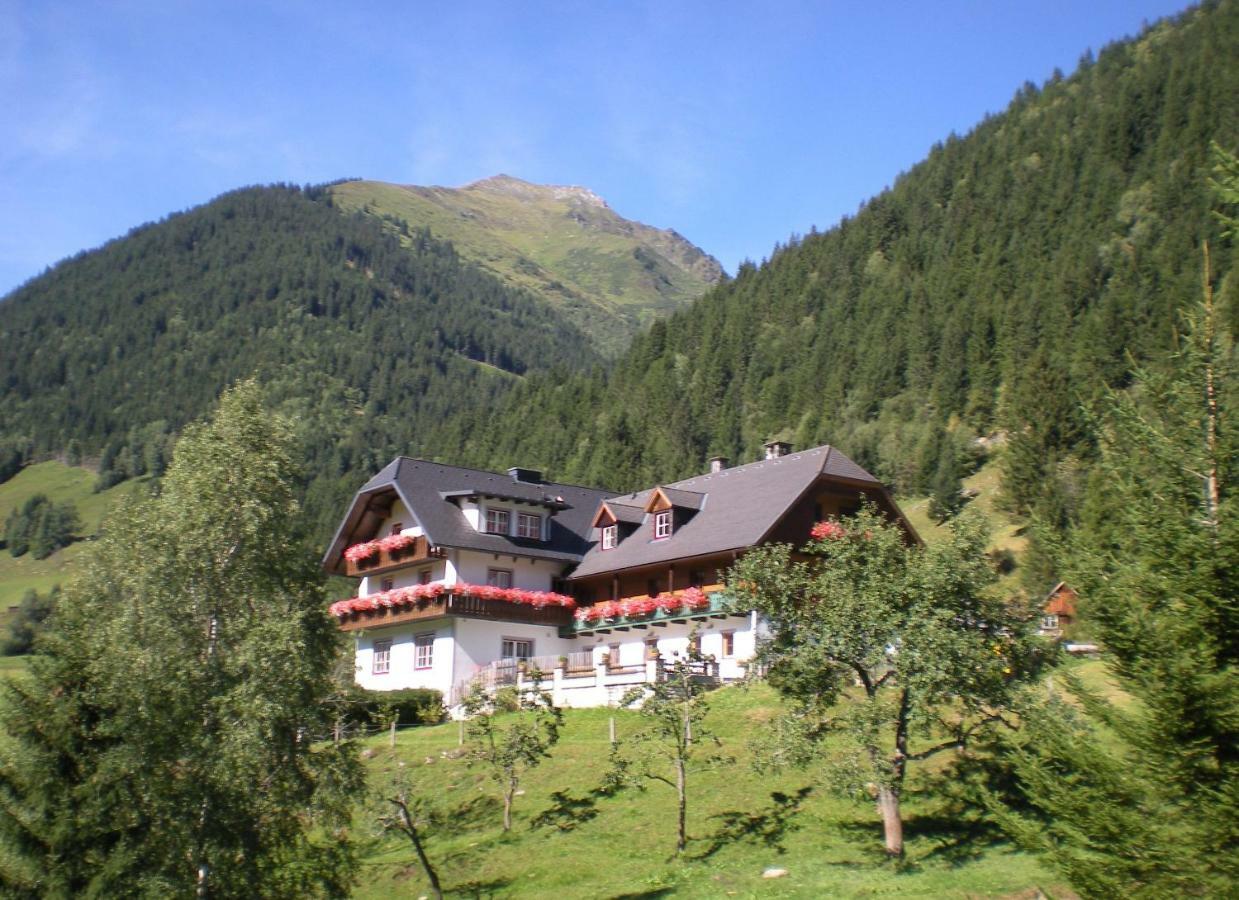 Biobauernhof Spieszschweiger Villa Sankt Nikolai im Solktal Exterior photo